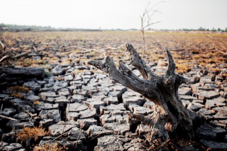 El 20 por ciento del suelo en España ya es semidesértico