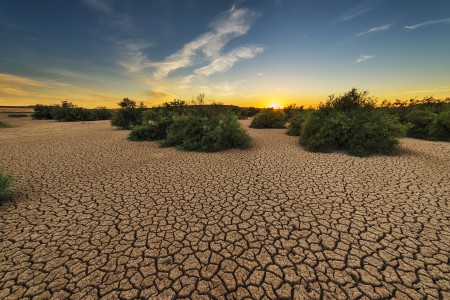 Reunión mundial contra la desertificación