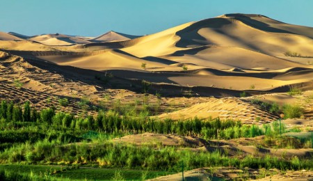 Un desierto de Mongolia, ejemplo en la lucha contra la desertificación